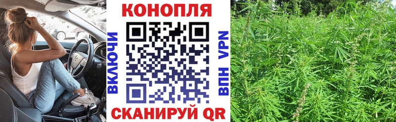 Шишки марихуана AK-47  Купить закладки  Сергач 
